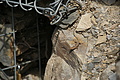 DSC02049 - Bernhard Saalfeld