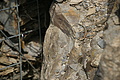 DSC02050 - Bernhard Saalfeld