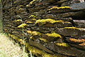 DSC02051 - Bernhard Saalfeld