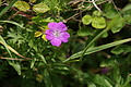 DSC02054 - Bernhard Saalfeld