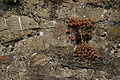 DSC02059 - Bernhard Saalfeld
