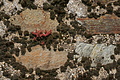 DSC02061 - Bernhard Saalfeld
