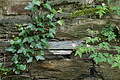 DSC02064 - Bernhard Saalfeld