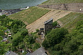 DSC02065 - Bernhard Saalfeld