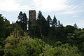 DSC02066 - Bernhard Saalfeld