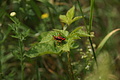 DSC02087 - Bernhard Saalfeld