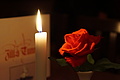 DSC00247 - Bernhard Saalfeld