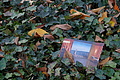 DSC00466 - Bernhard Saalfeld
