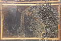 DSC00934 - Bernhard Saalfeld