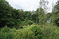 DSC00962 - Bernhard Saalfeld