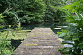 DSC00970 - Bernhard Saalfeld