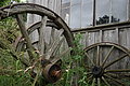 DSC01023 - Bernhard Saalfeld