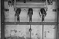 L1002988 - Bernhard Saalfeld