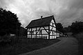 L1002999 - Bernhard Saalfeld