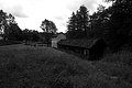 L1003021 - Bernhard Saalfeld