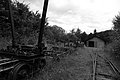 L1003023 - Bernhard Saalfeld