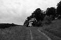 L1003034 - Bernhard Saalfeld