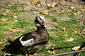 DSC08408 - Bernhard Saalfeld