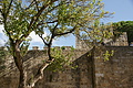 DSC08523 - Bernhard Saalfeld