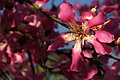 DSC08599 - Bernhard Saalfeld