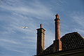 DSC08600 - Bernhard Saalfeld