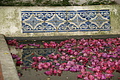 DSC08777 - Bernhard Saalfeld