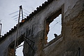 DSC08868 - Bernhard Saalfeld