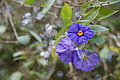 DSC09089 - Bernhard Saalfeld