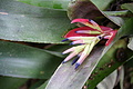 DSC09124 - Bernhard Saalfeld