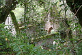 DSC09125 - Bernhard Saalfeld