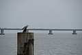 DSC09314 - Bernhard Saalfeld