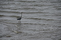 DSC09321 - Bernhard Saalfeld