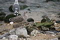 DSC09479 - Bernhard Saalfeld