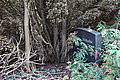 DSC02113 - Bernhard Saalfeld