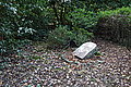 DSC02117 - Bernhard Saalfeld