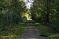 DSC02170 - Bernhard Saalfeld