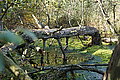 DSC02179 - Bernhard Saalfeld