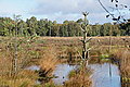 DSC02186 - Bernhard Saalfeld
