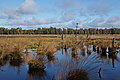 DSC02188 - Bernhard Saalfeld