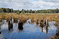 DSC02191 - Bernhard Saalfeld