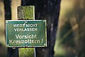 DSC02193 - Bernhard Saalfeld