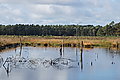 DSC02196 - Bernhard Saalfeld