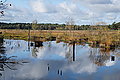 DSC02199 - Bernhard Saalfeld