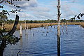 DSC02203 - Bernhard Saalfeld