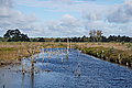 DSC02207 - Bernhard Saalfeld