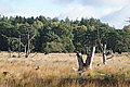 DSC02209 - Bernhard Saalfeld
