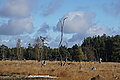 DSC02210 - Bernhard Saalfeld