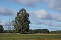 DSC02211 - Bernhard Saalfeld