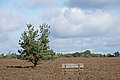 DSC02213 - Bernhard Saalfeld