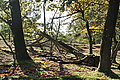 DSC02216 - Bernhard Saalfeld